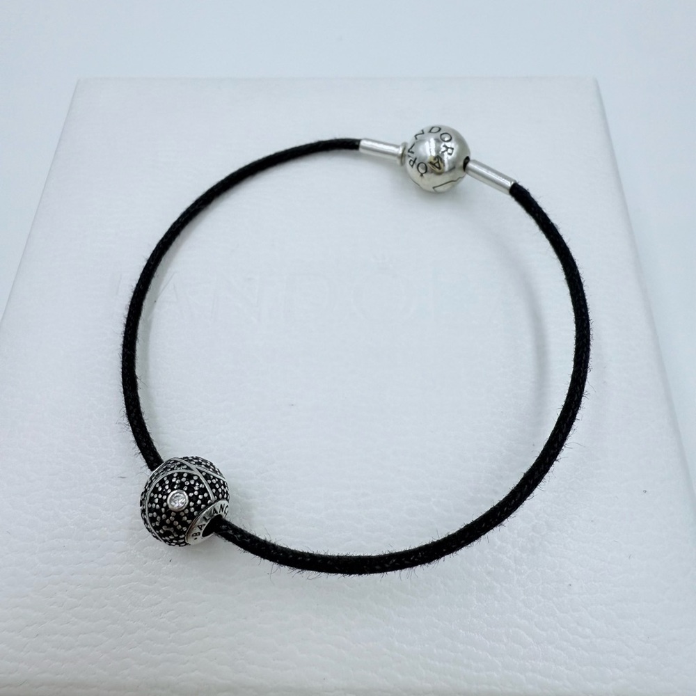 Pandora Bracelet & Charm - Picture 2 of 4
